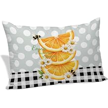 Farmhouse Orange Flower Bee Throw Pillow Cover,Decorative Pillowcase with Hidden Zipper Modern Polka Dot Buffalo Plaid Breathable Lumbar Pillow Cushion Case for Couch Sofa Bed Home,24"x36"