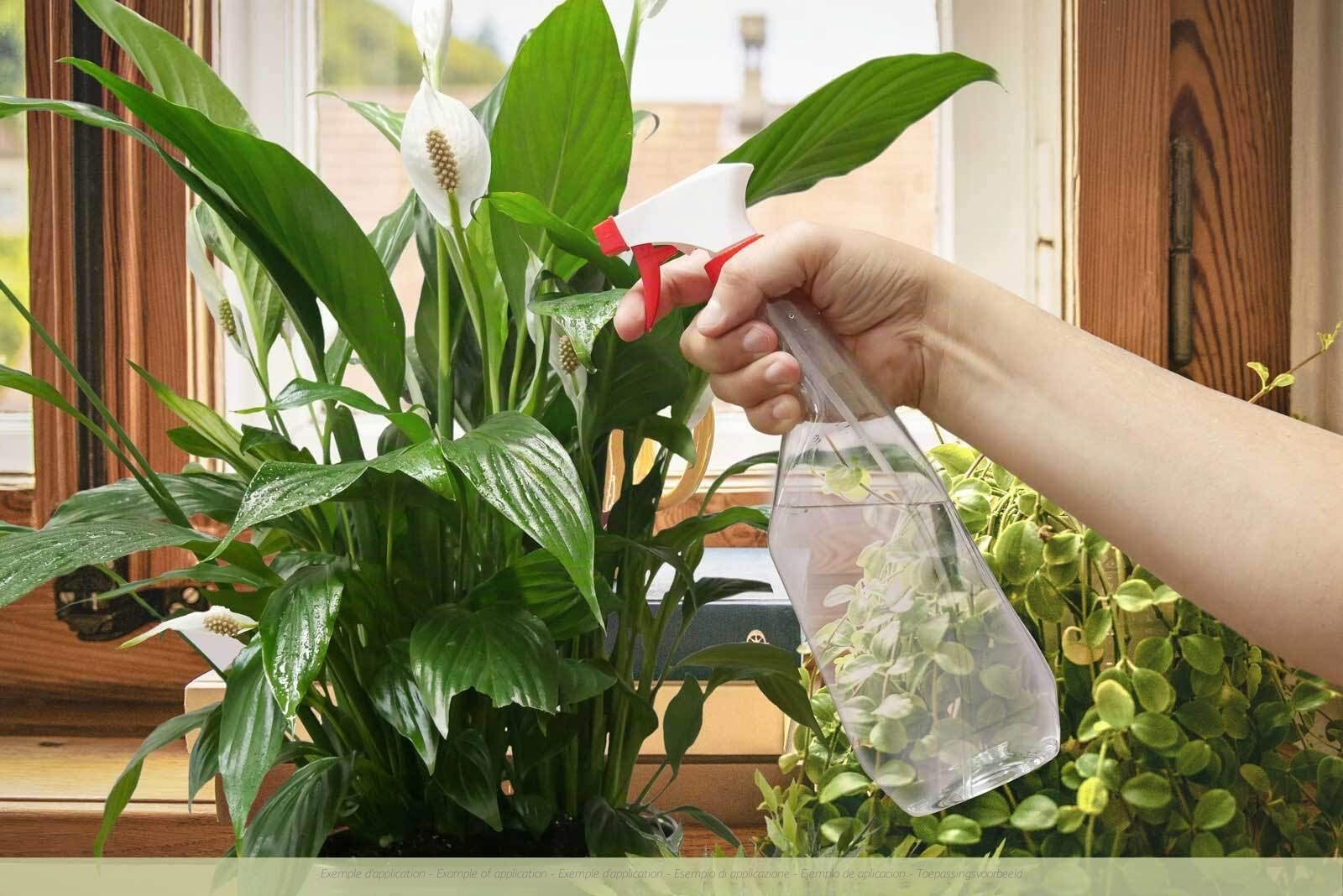 10 flacons pulvérisateurs de 750 ml en PET, flacons pulvérisateurs avec pistolet, pulvérisateurs vides avec buse réglable (jet / spray), par exemple pour les plantes / fleurs, le nettoyage, l'atelier