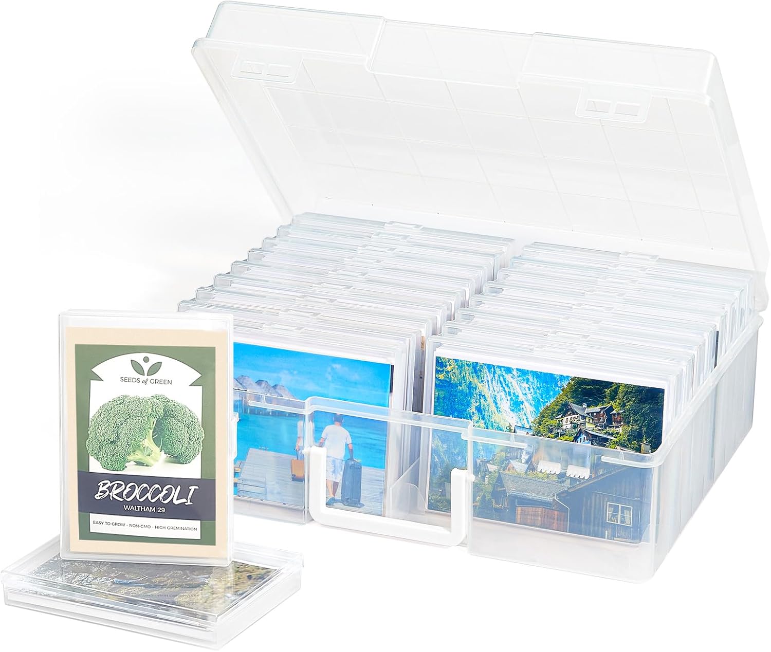 Lifewit Photo Storage Box transparent