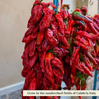 L'Oro Del Sud Calabrian Chili Powder, Hot Chili Pepper Powder, 2.11 oz | Spicy Chili Pepper Powder Made from Calabrian Peppers, All Natural Non-GMO Spice for Pasta, Pizza & Sauces, Product of Italy