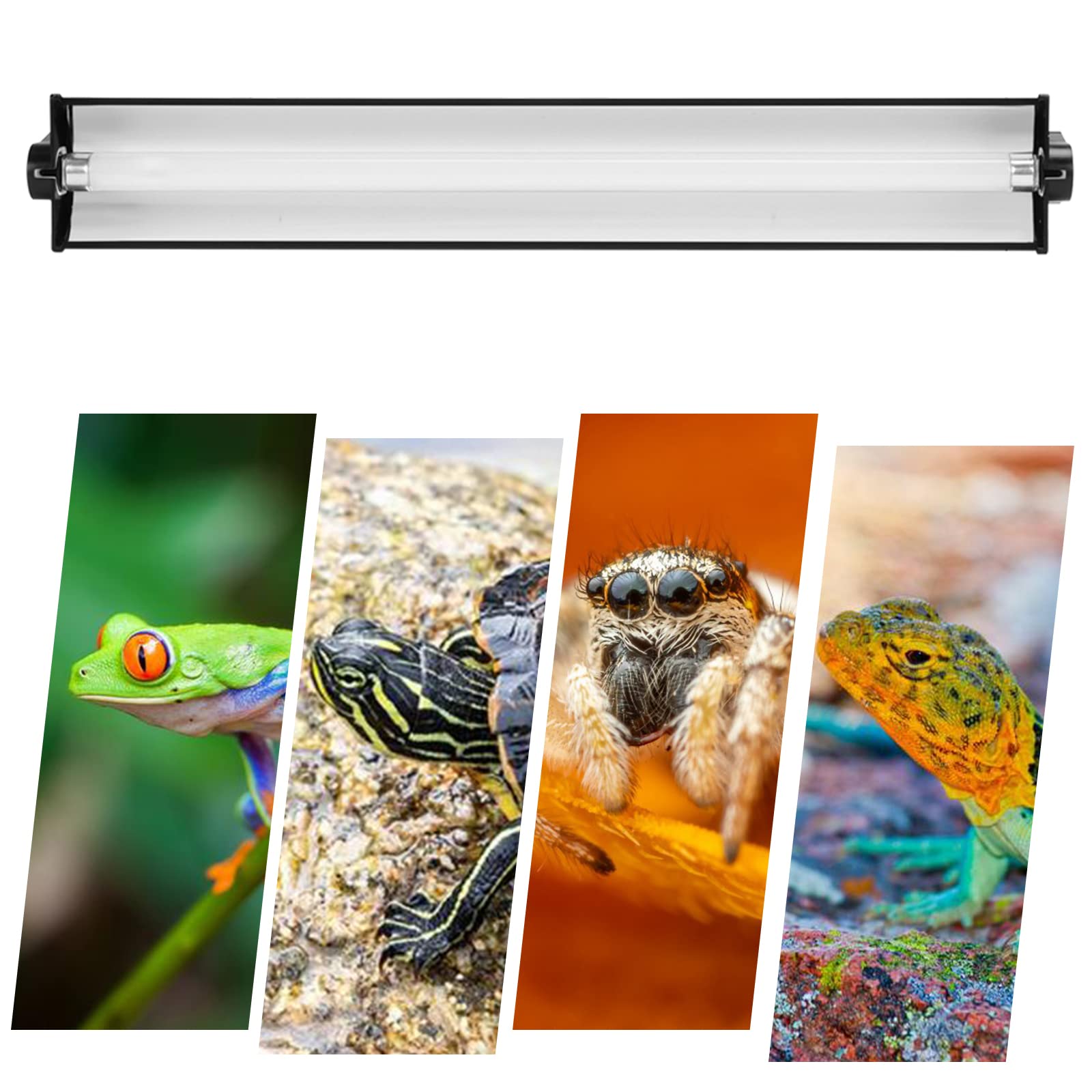 AIICIOO Desert 5.0 24W UVB T5 Lámpara T5 HO Terrario Iluminación UVB Combo Kit Terrario Campana Viene con Lámpara Reptiles Terrario Campana para Lizard Bearded Dragon Turtle