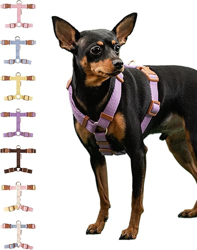 BODDLELANG Arnés para perros grandes, arnés a prueba de escape, ajustable y grande, antitirones, para perros grandes, color morado, sin tirones,