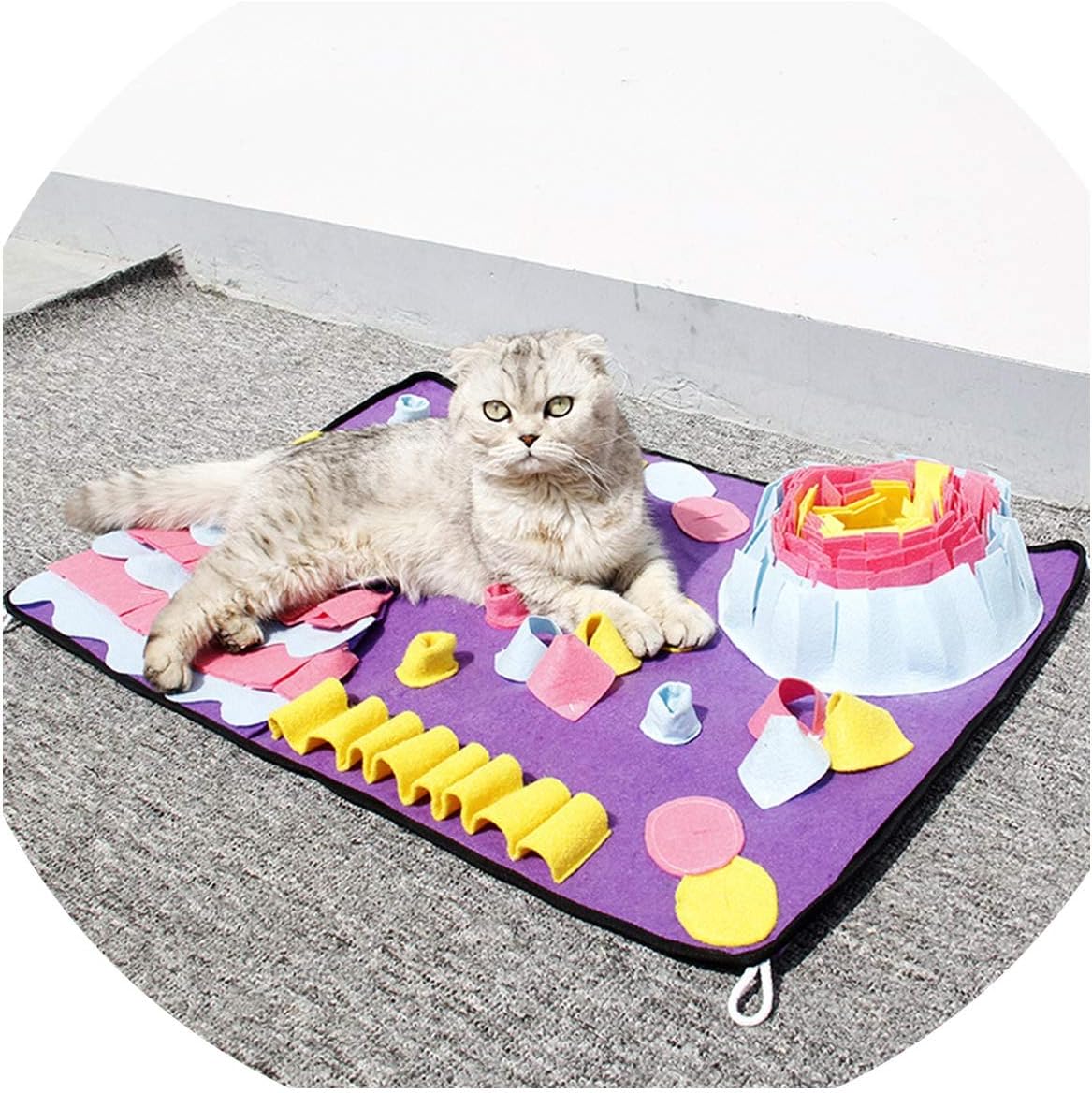 Fanjie's Department store Pet Dog Sniffing Mat Find Food
