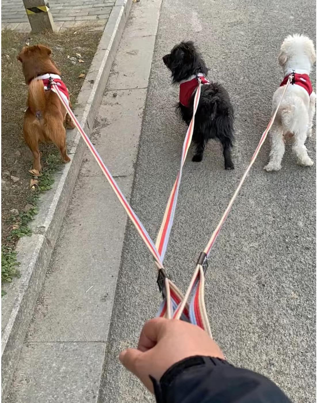 Soft Cotton Web Dog Leash Basic Training Walking Lead, 15FT Long, 1 Inch Wide Red