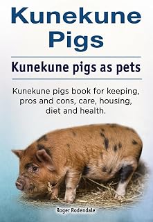 Kunekune pigs. Kunekune pigs as pets. Kunekune pigs book for keeping, pros and cons, care, housing, diet and health.