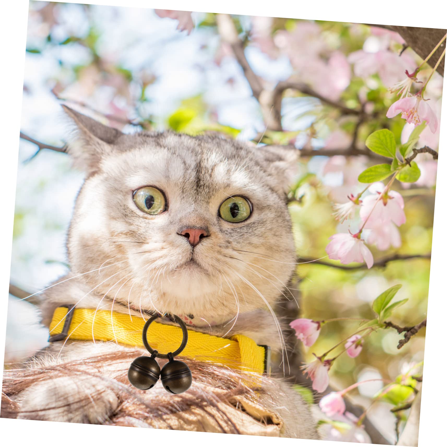 Garneck Pack Dog Collar Bell Loud Cat Bells Diy Pet Accessories Retro for Home Decor