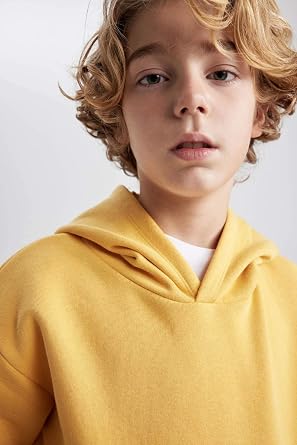 DeFacto Boys' Regular Fit Hooded Sweatshirt