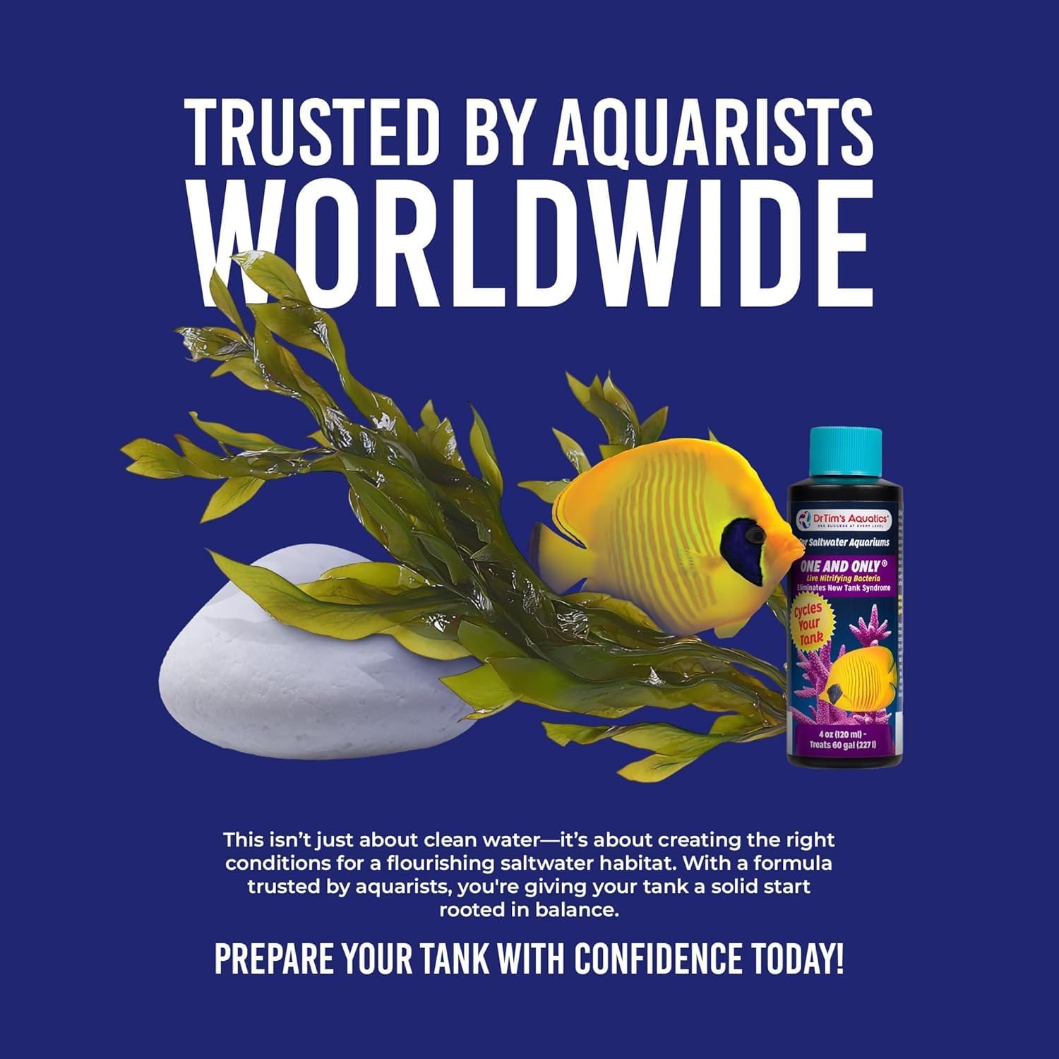 Dr. Tim’s Aquatics Saltwater One & Only Nitrifying Bacteria – For New Fish Tanks, Aquariums, Water Filtering, Disease Treatment – H20 Pure Fish Tank Cleaner – Removes Toxins – 4 Oz.