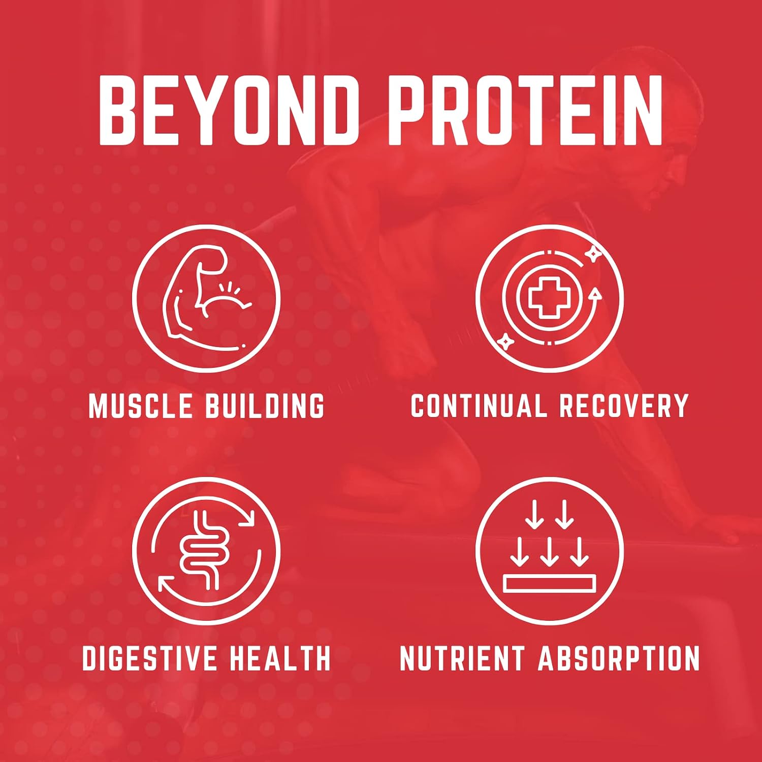 Purus Labs Myofeed Blended Protein | Ultra Filtered Whey Isolate & Concentrate | Soluble Fiber & Digestive Enzymes | 25 Servings (Vanilla Peanut Butter)