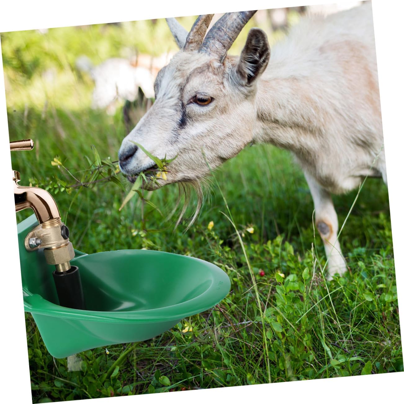 POPETPOP 2pcs Copper Automatic Drinking Fountain for Sheep and Cattle Freeze Water Bowl Float Valve Easy Installation for Livestock and Poultry Farms