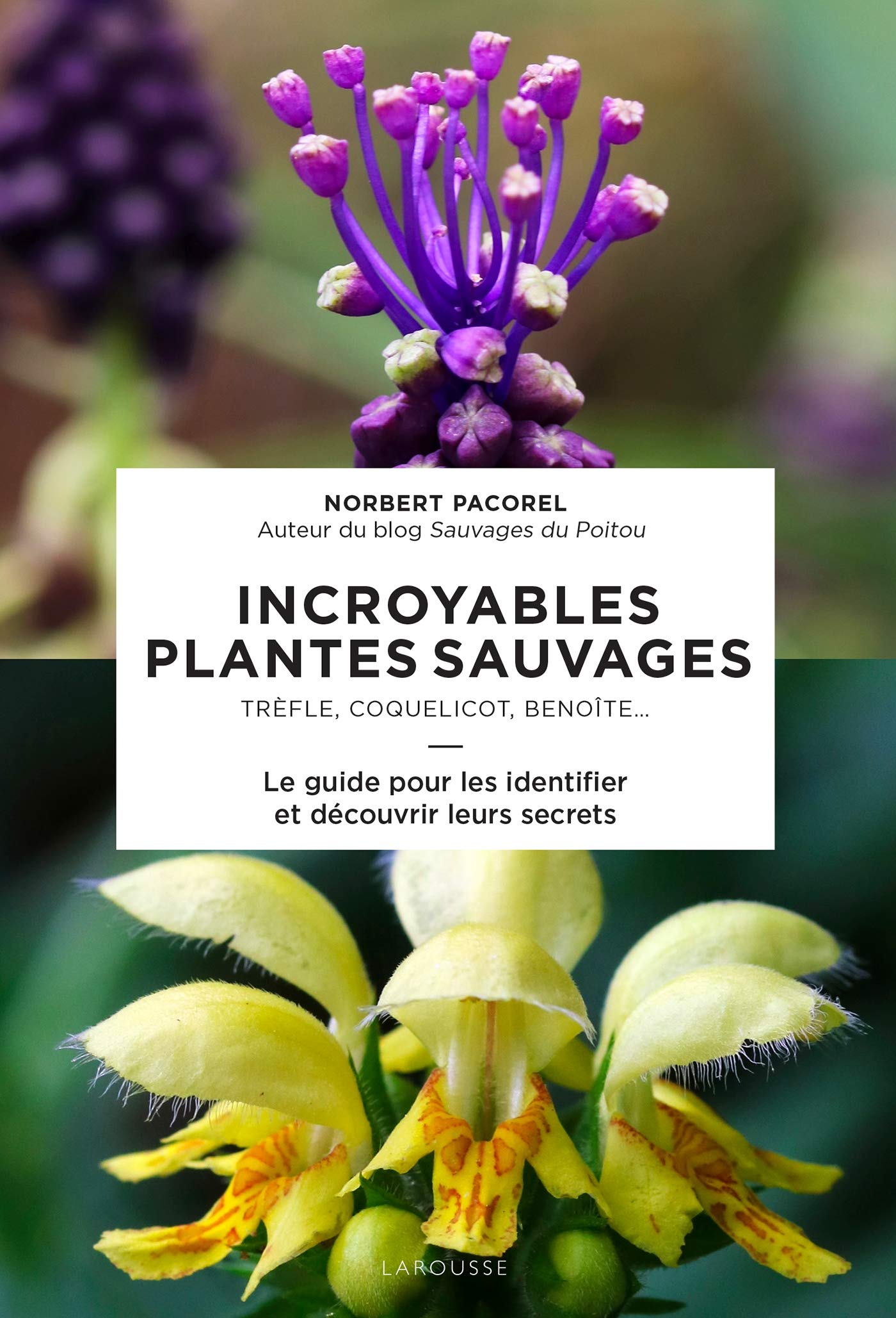 Incroyables plantes sauvages: Trèfle, coquelicot, benoîte... Le guide pour les identifier et découvrir leurs secrets