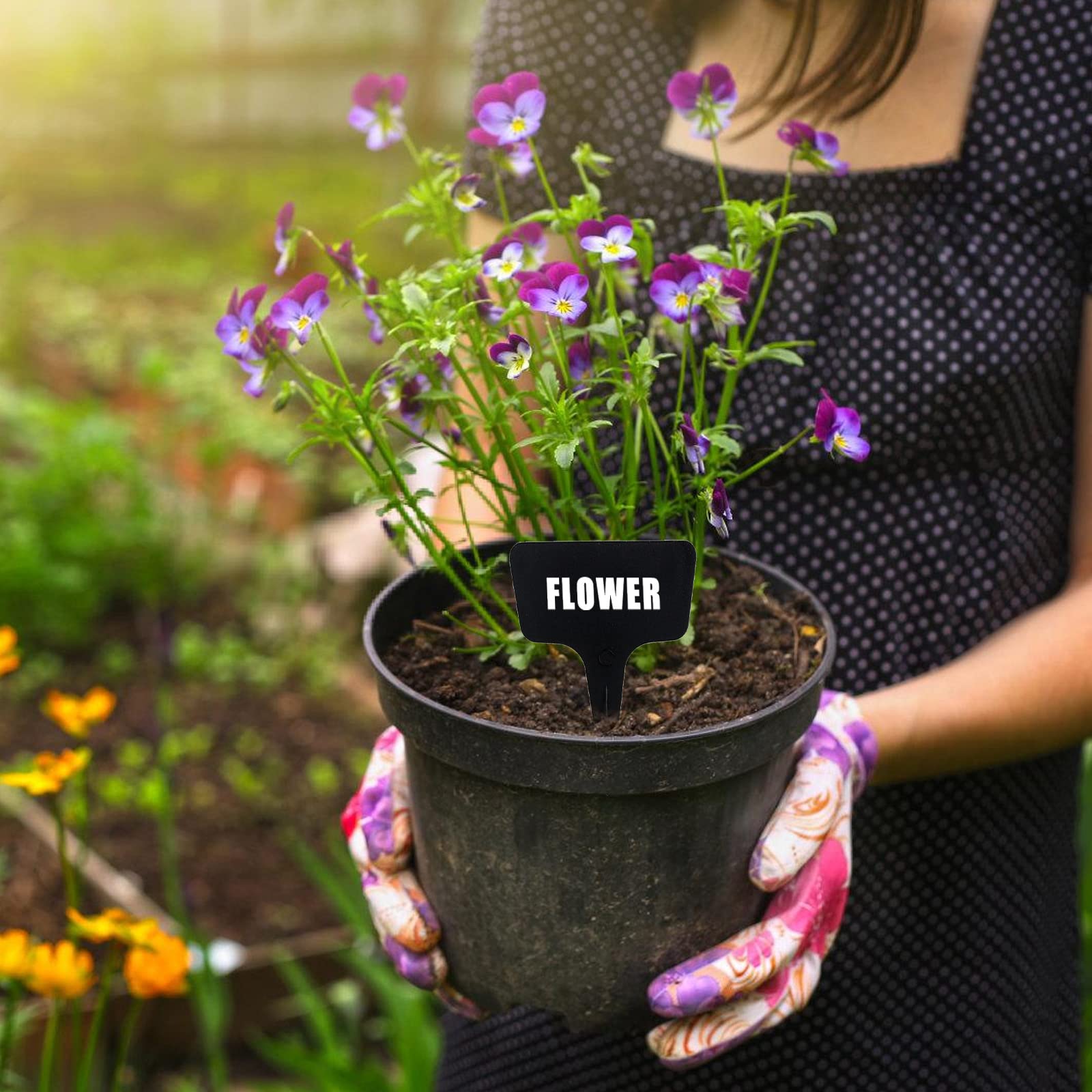 100 Etichette Per Piante In Plastica - Forma A T E Freccia, Scrivibili E Impermeabili Per Orto E Giardino - Foto 6