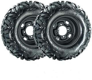 25x8-12 ATV Tire and Wheel Set (2-Pack)