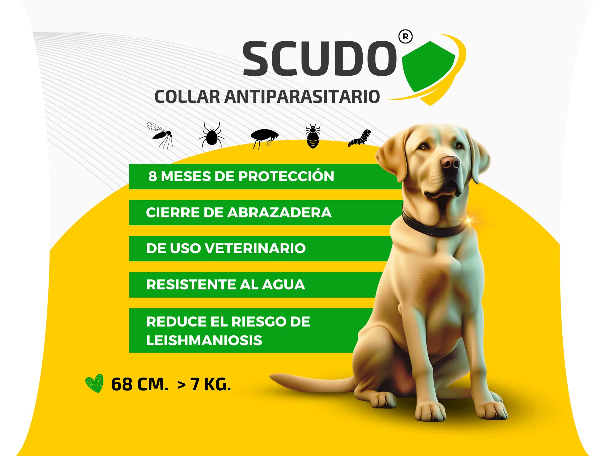 Scudo Collar contra Pulgas Garrapatas y Mosquitos para Perros, Antipulgas 8 Meses de Protección, Collar Antipulgas Perros Grandes, Collar Perros medianos, antiparasitario contra LEISHMANIA (V2.0)