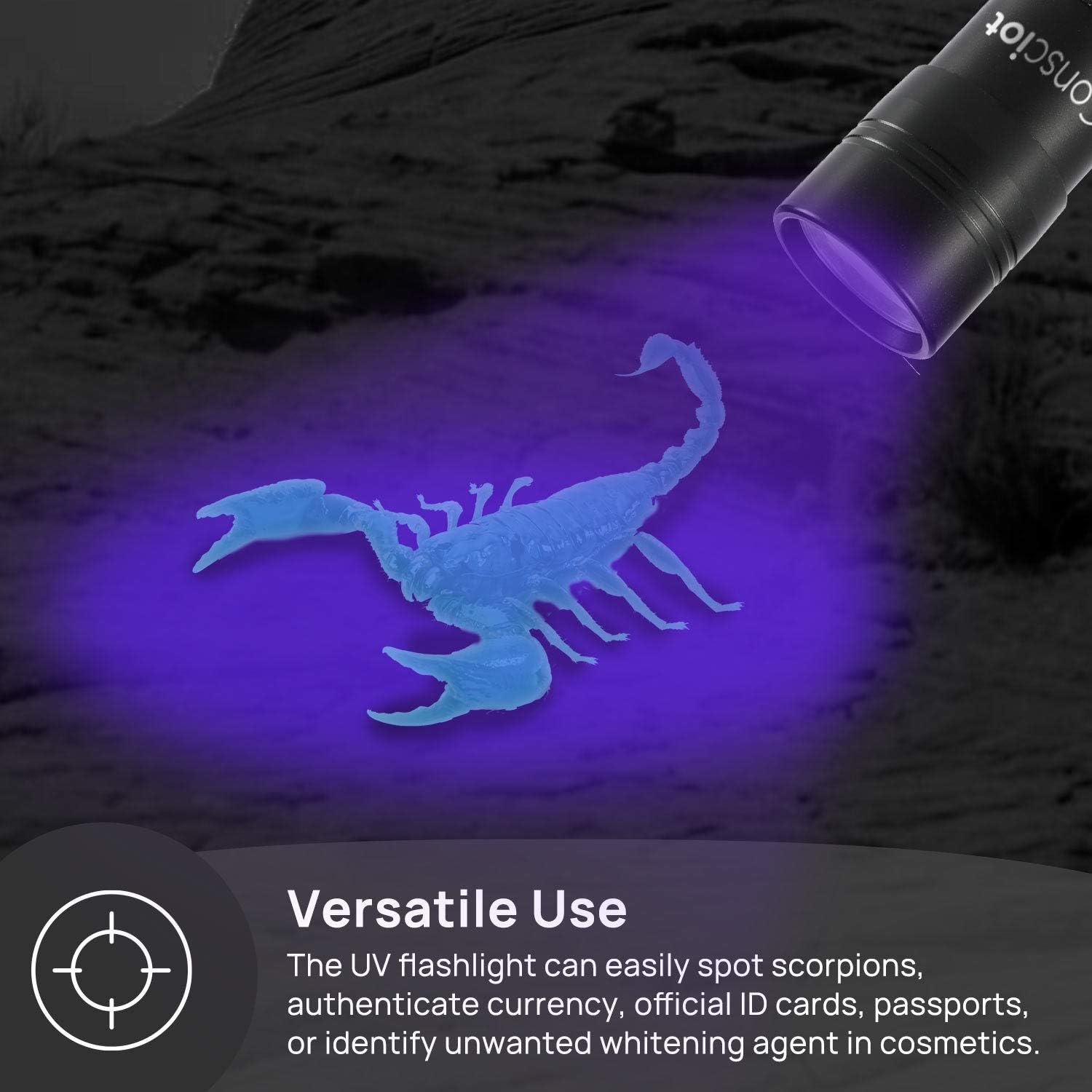 UV Black Light Flashlight, Consciot 12 LED 395nm Handheld Ultraviolet Flashlight, Portable Blacklight Detector Mini Torch Light for Dog Cat Pet Urine Stain, Bed Bug, 3 AAA Batteries Included