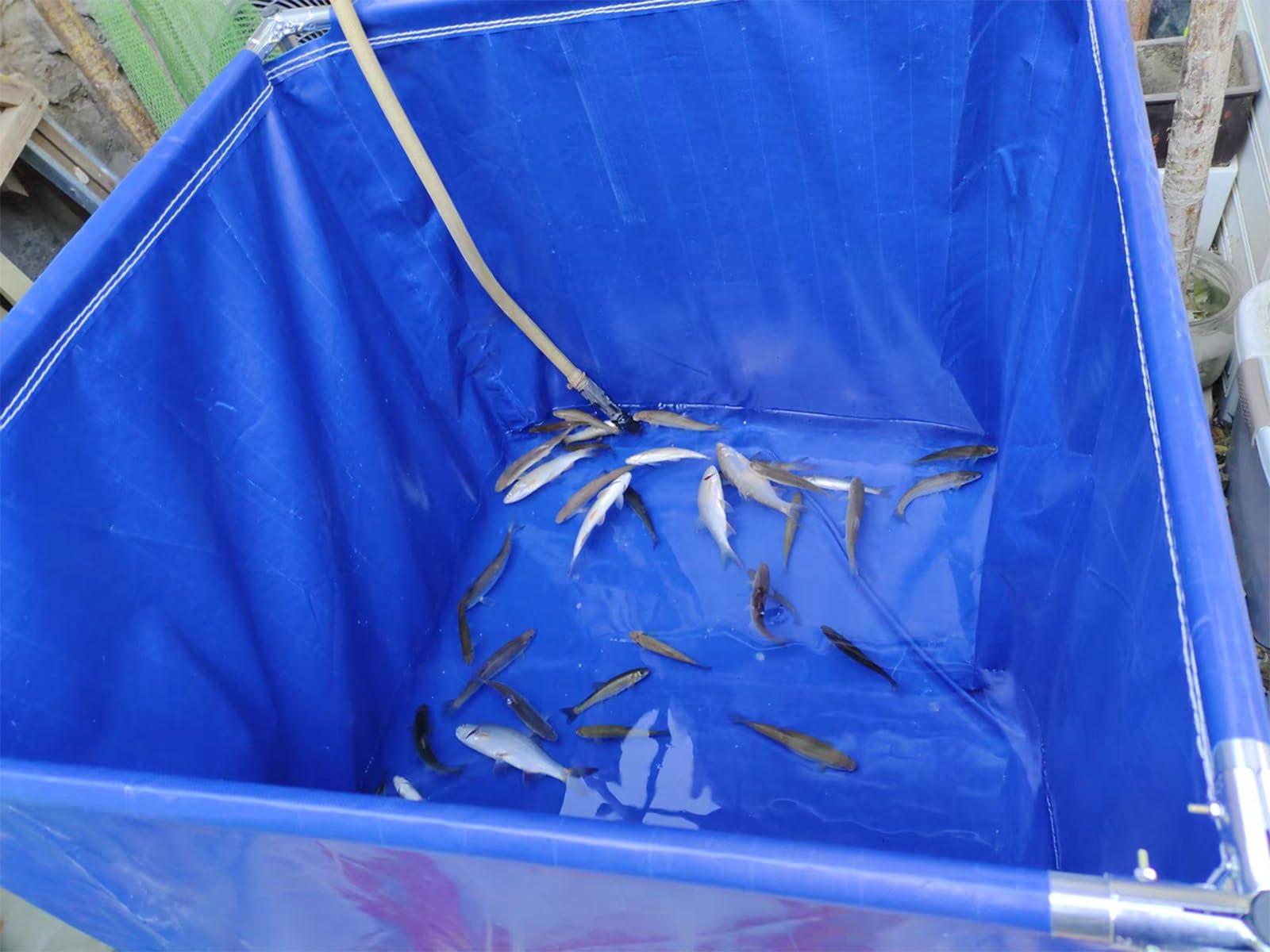 Laghetto per Koi in PVC da 277 galloni, Piscina Fuori Terra in Acciaio, Adatta per Giardini, Piscina Estiva per Famiglie con Onde, Ideale per laghetti e vasche per Pesci (1,5x1x0,7 Metri).