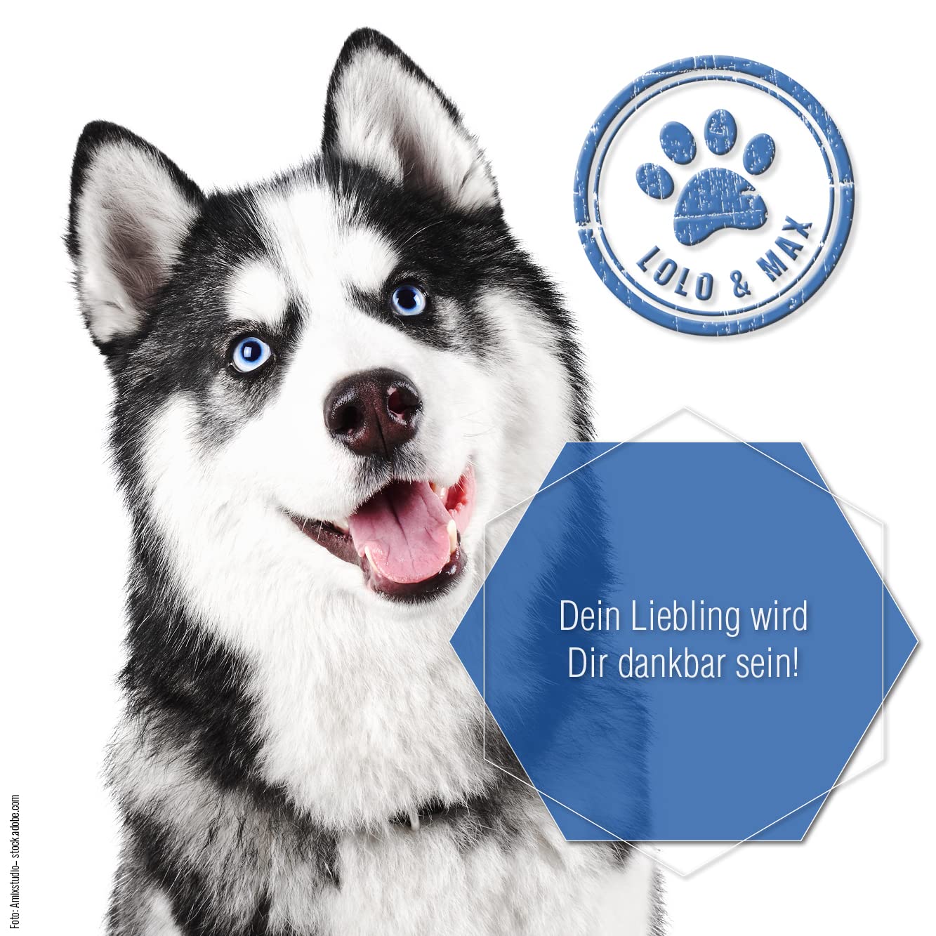 Lolo & Max natürliche Zahnpflege für Hund & Katze - DentaCare Trinkwasserzusatz zur Zahnreinigung für Haustiere - gegen Zahnbelag, Zahnstein & Maulgeruch - vegan - kein Mundgeruch mehr - 470ml