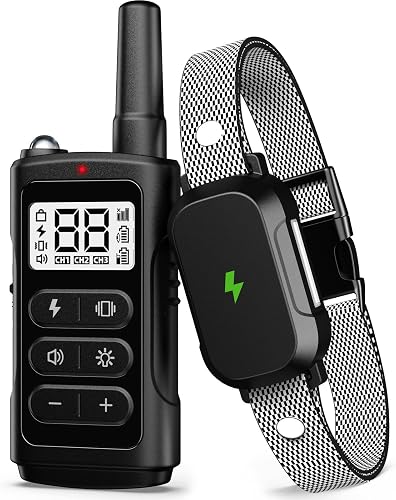 Electronic B-Collar training collar