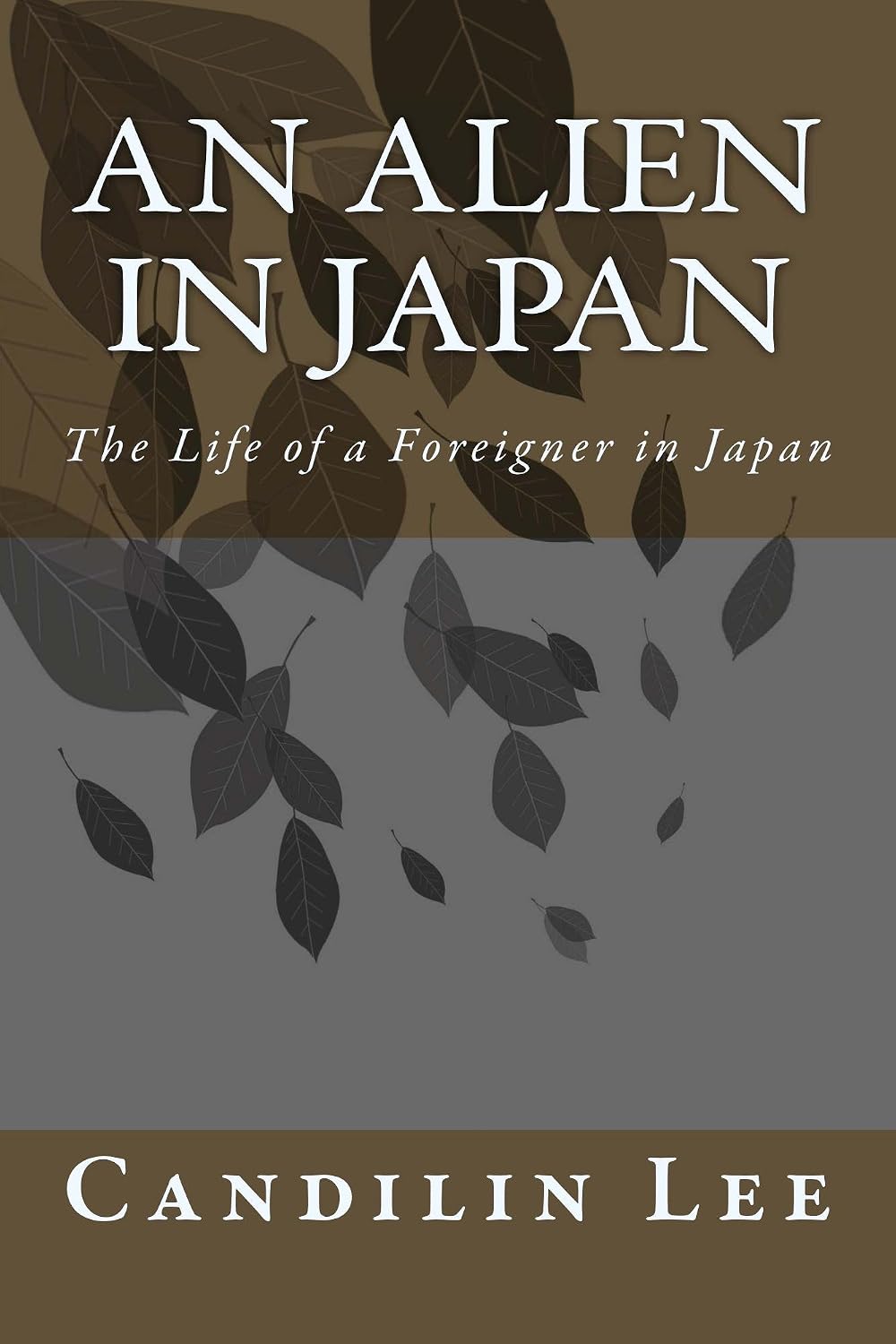 Amazon.com: An Alien in Japan eBook : Lee, Candilin: Books