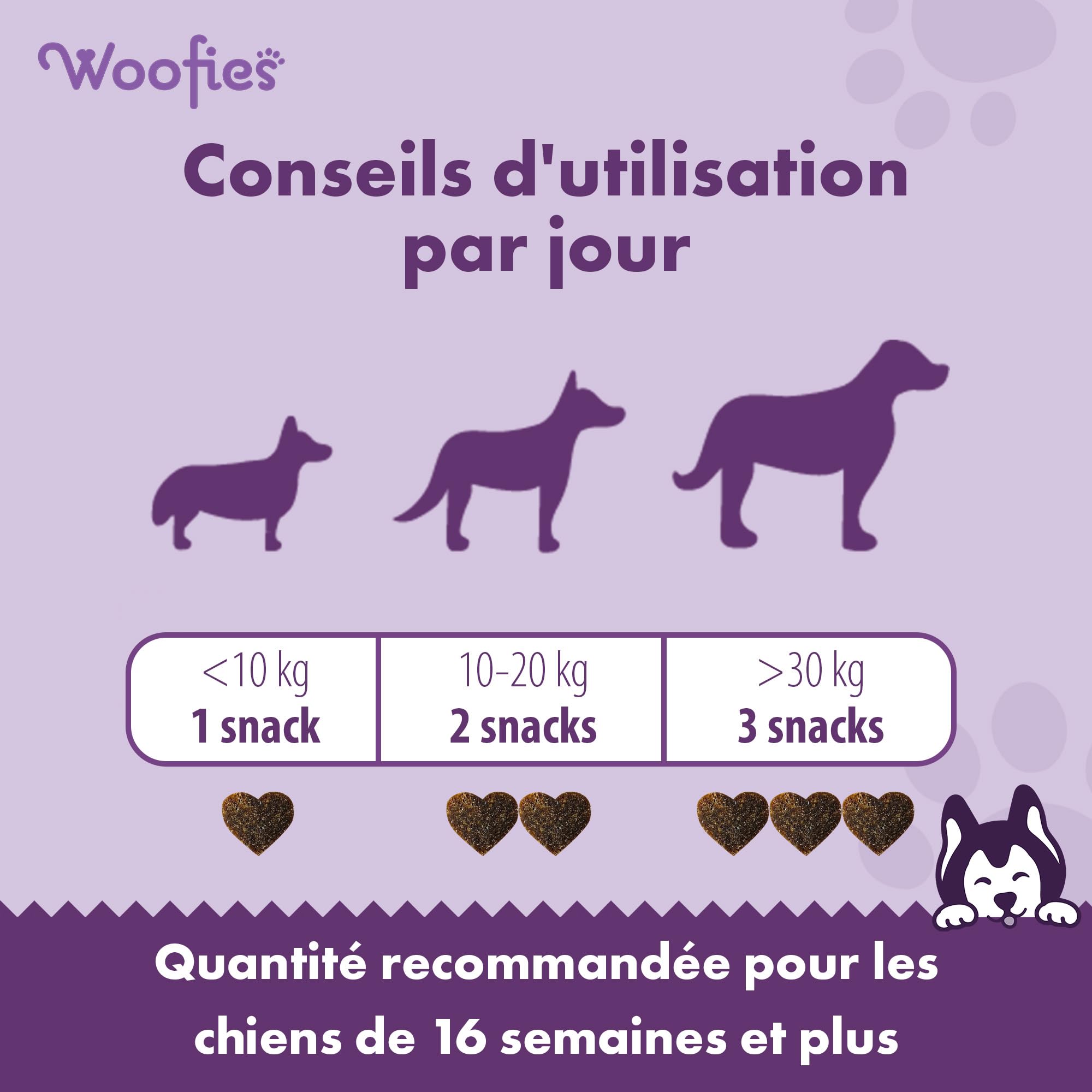 Friandises Probiotique Flore Intestinale pour Chiens – 90 Pièces Hypoallergéniques – Renforce la Flore intestinale, favorise la Digestion et Le système immunitaire – 100% Naturelles - Saveur Poulet
