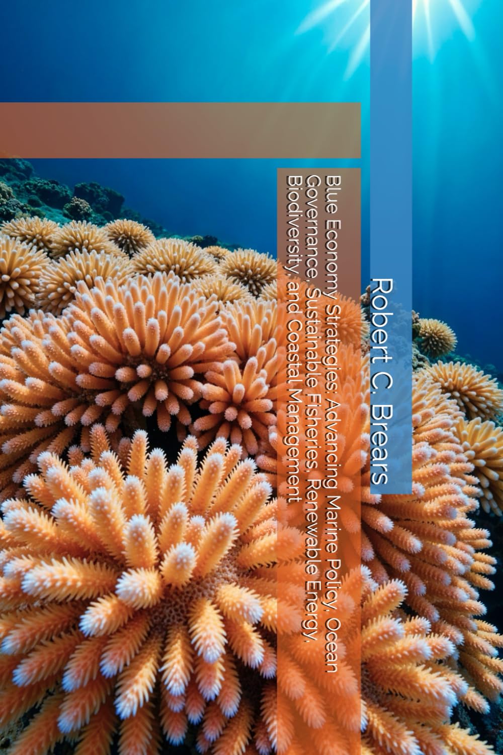 Blue Economy Strategies: Advancing Marine Policy, Ocean Governance, Sustainable Fisheries, Renewable Energy, Biodiversity, and Coastal Management