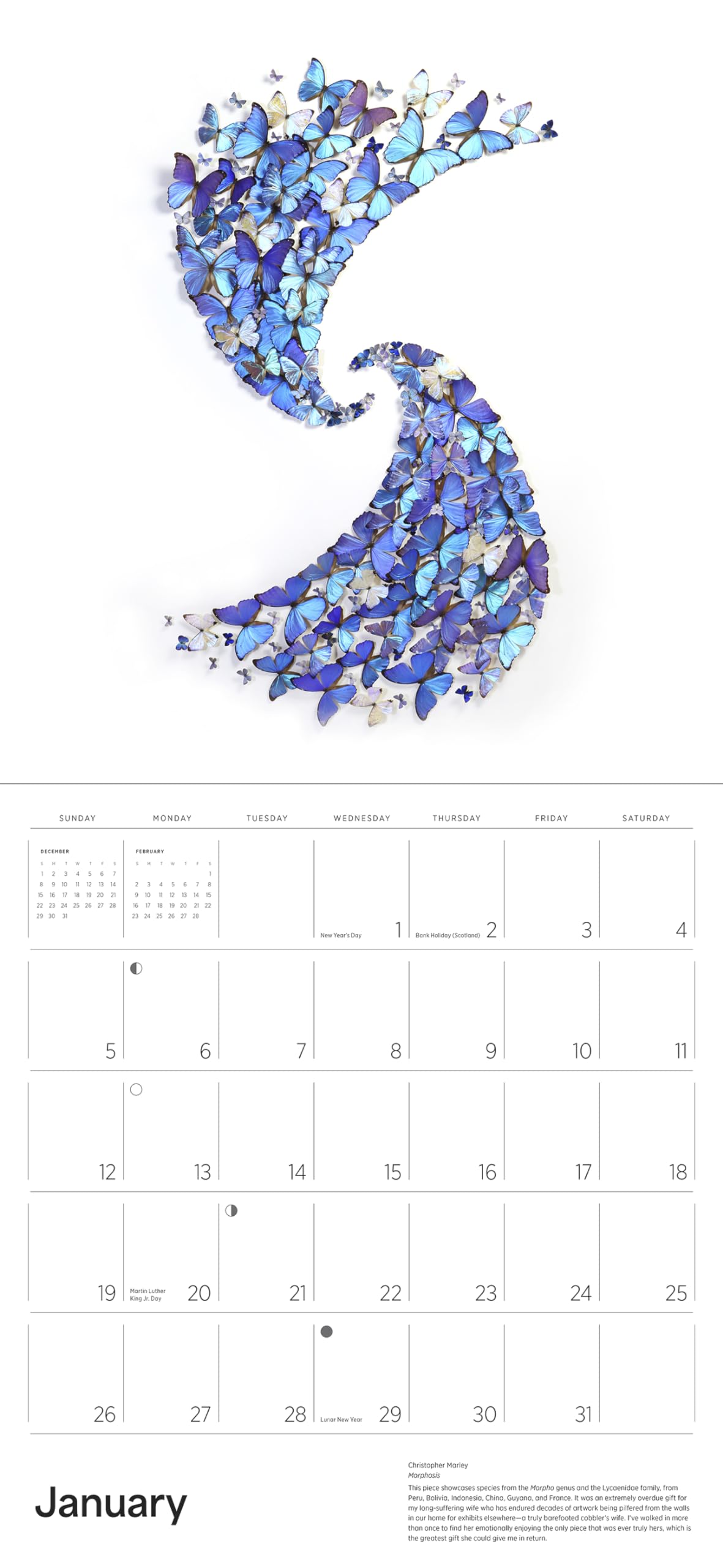 Exquisite Creatures: The Art of Christopher Marley 2025 Wall Calendar