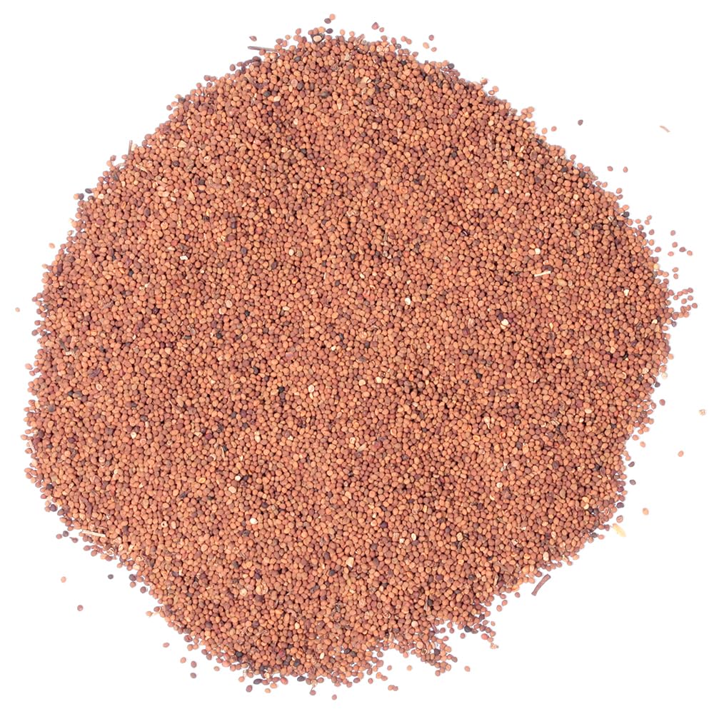 EidolonGreen [Chinese Herbal Medicine] Premium Cuscuta Herbal Tea (tu si zi/菟丝子) – Organic Dodder Leaf & Seed Tea, Dried Bulk Herb 88g (3oz) - Image 4