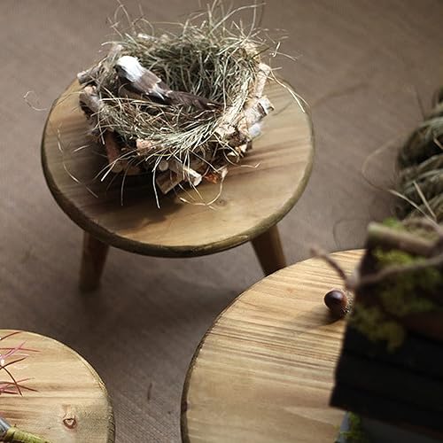 Miniatura 5 de BWOLE Mini taburete de madera, taburete de madera maciza, taburete redondo para bonsái, estante de exhibición en maceta para oficina, comedor,