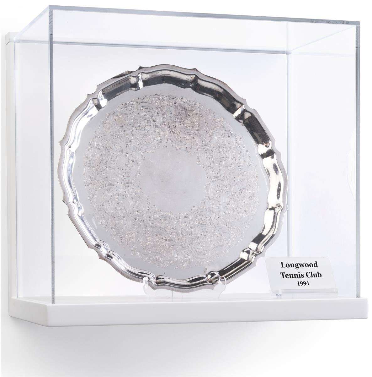 Amazon.com: Displays2go, Clear Cube Art Display, Acrylic and MDF  Construction – White, Silver, and Clear (DCCUBELGWH) : Industrial &  Scientific
