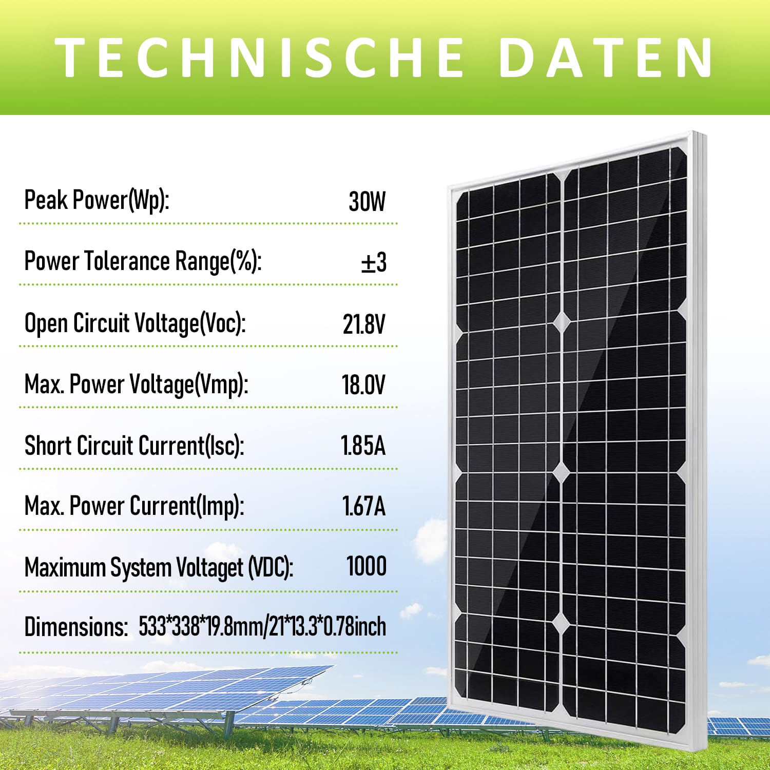Topsolar 30W 12V Mono Solarpanel‑Set mit Laderegler für Batterie‑Aufladung