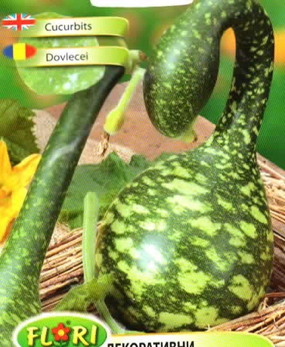 Ornamental Gourd - Cobra - CUCURBITA LAGENARIA - Climbing - 5 Quality Seeds 1301