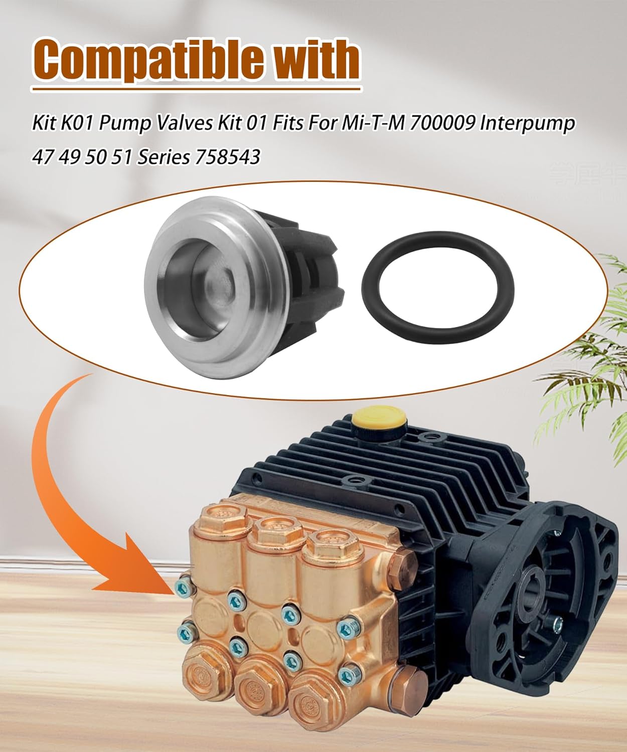 6PCS Pressure Washer Check Valve Kit Fits For Mi-T-M 700009 Inter Pump 47 49 50 51 Series 758-543.758-543 36.7032.01 Kit01 K01