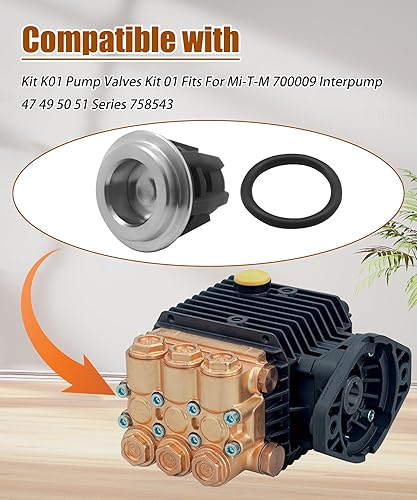Miniatura 2 de Kit de válvula de retención para lavadora a presión de 6 piezas, compatible con bomba intra Mi-T-M 700009 47 49 50 51 Series 758-543.758-543