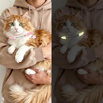 Personalised Glow in the Dark Cat Collar with Bell Flower Decoration, Custom UV-Printed Name & Phone Number, Luminous Adjustable Cat Collar Breakaway (UV-Printed)