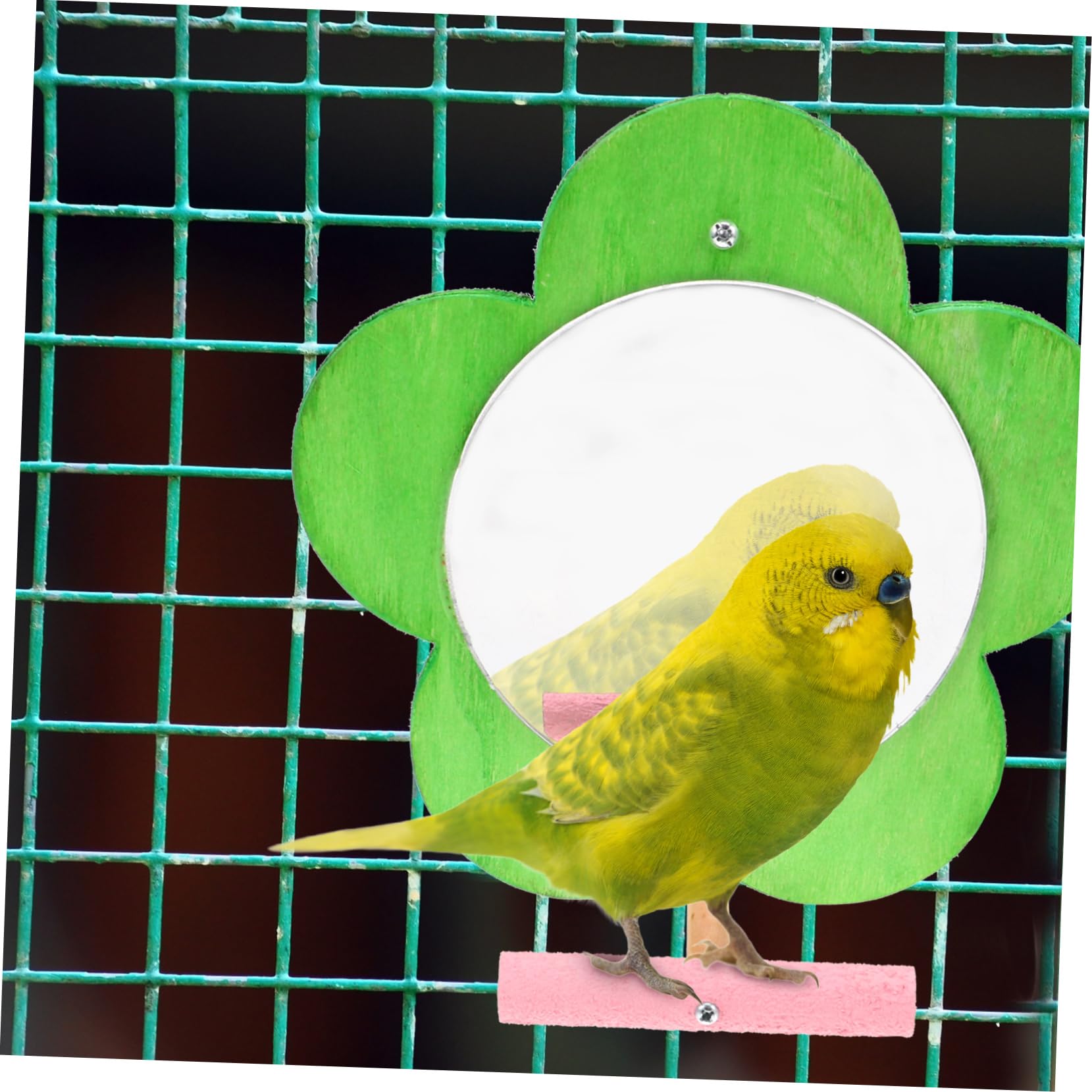 販売中の　インコの止まり木　スタンドについて Amazon | Gatuida 木製の鳥スタンド インコの止まり木スタンド 鳥の