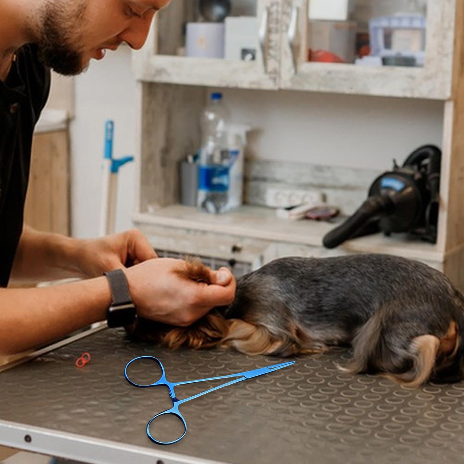 Tosatrice Per Gatti Pinza Emostatica Bloccaggio Domestica