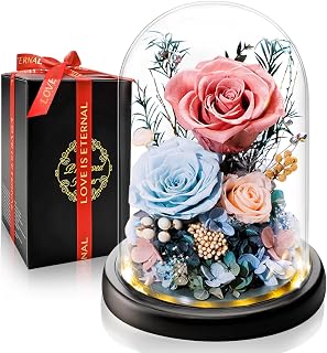 Eternal rose stabilizes under the glass ball, Luxury gift with LED lights, perfect for birthday, Mother's Day, ideal for woman, girlfriend, mother and grandma, preserved flower that lasts for years