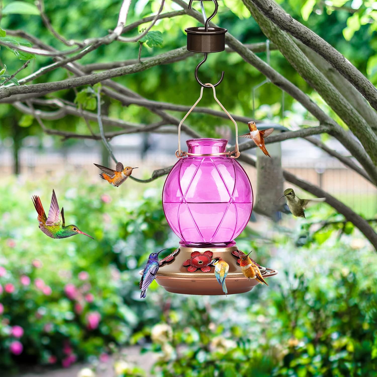 BOLITE Hummingbird Feeders for Outdoors Hanging, Glass Hummingbird Feeder, Wild Bird Feeder with Five Feeding Ports, 20 Ounces, 2 Pack, Purple and Blue, Birthday Gifts for Women Men, Gifts for Mom Dad