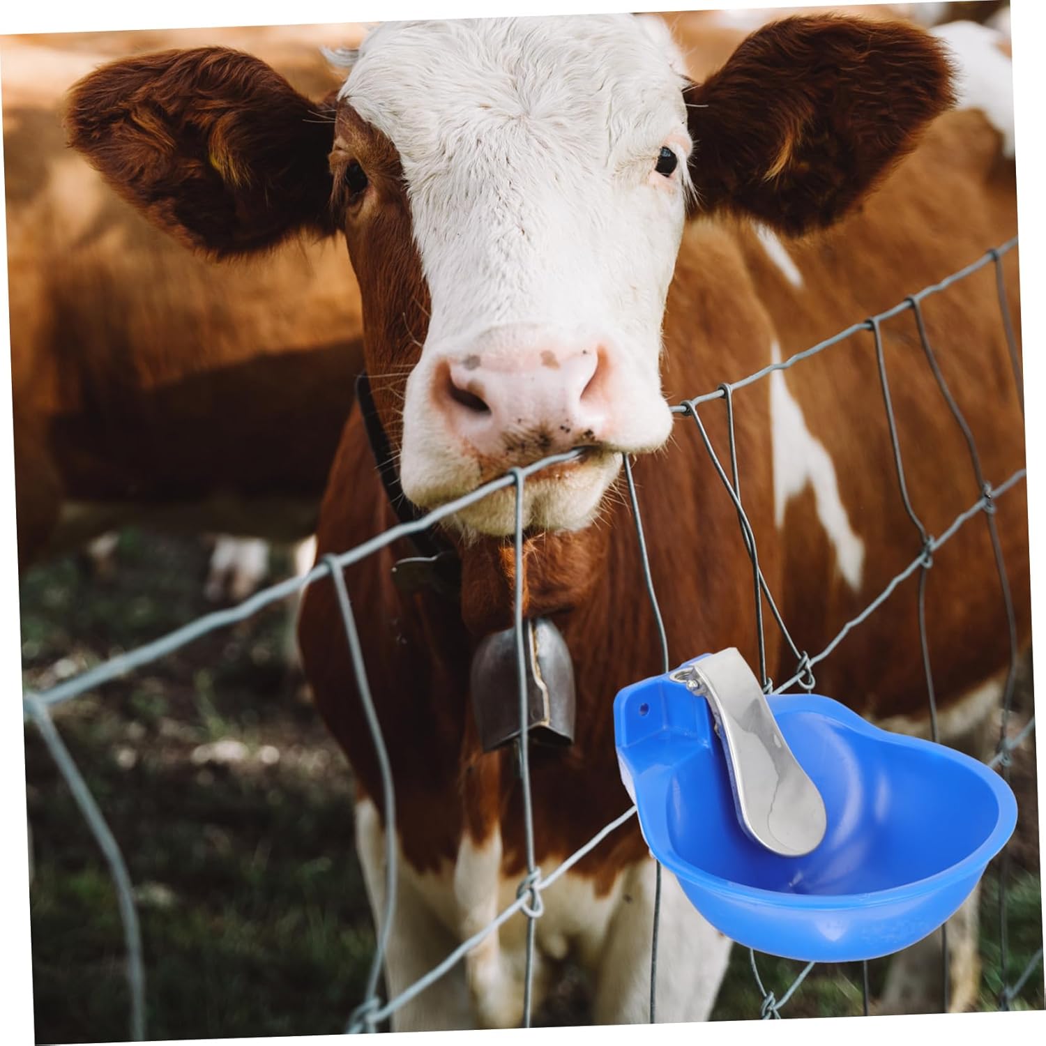 Livestock Water Feeder Automatic Water Bowl for Cattle Capacity Drinking Bowl Design for Farm Use