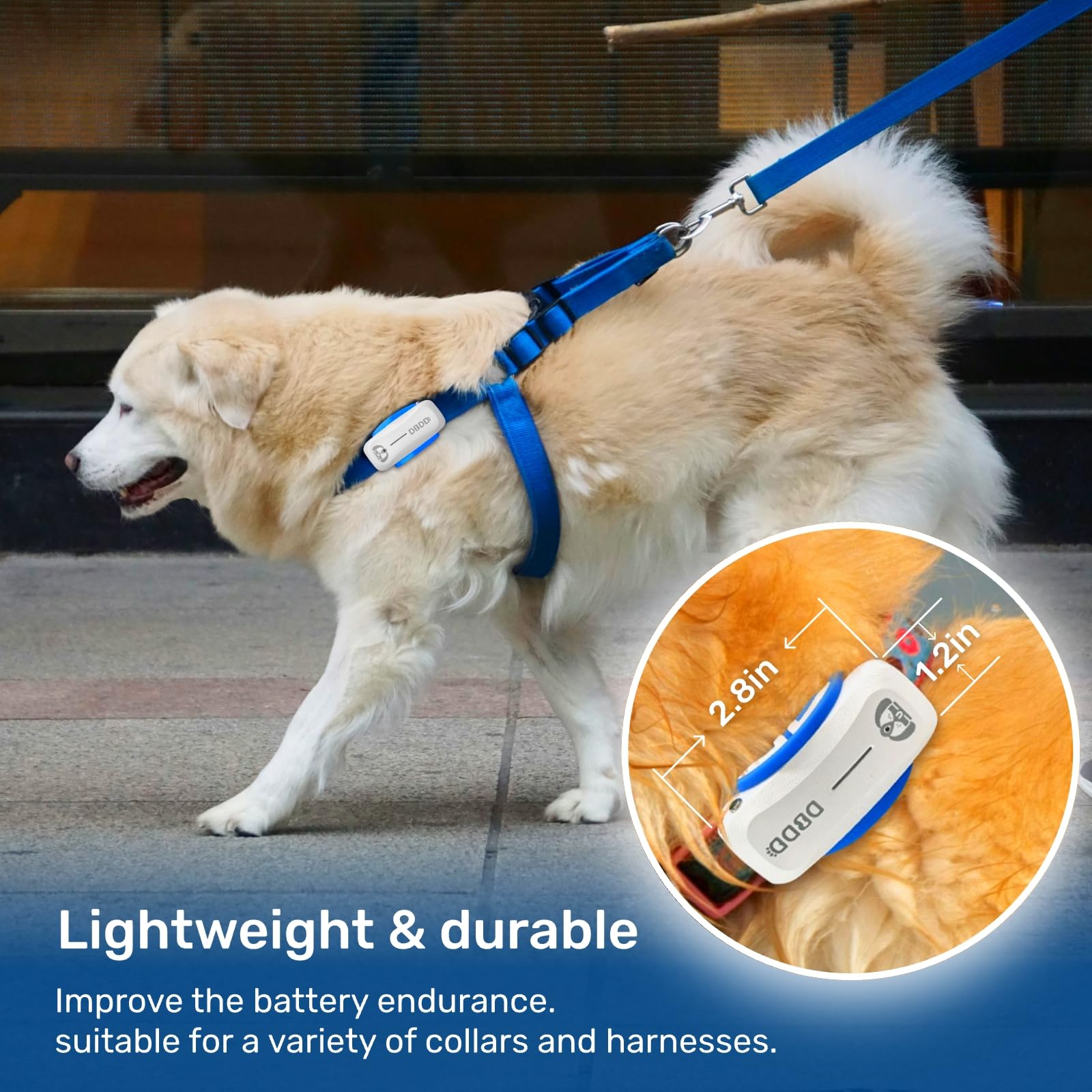 AI GPS Tracker for Dogs (30lbs+), Real Time Location and AI Vet Health Management, Electronic Fence, Waterproof, iOS and Android Universal（White） - image 6