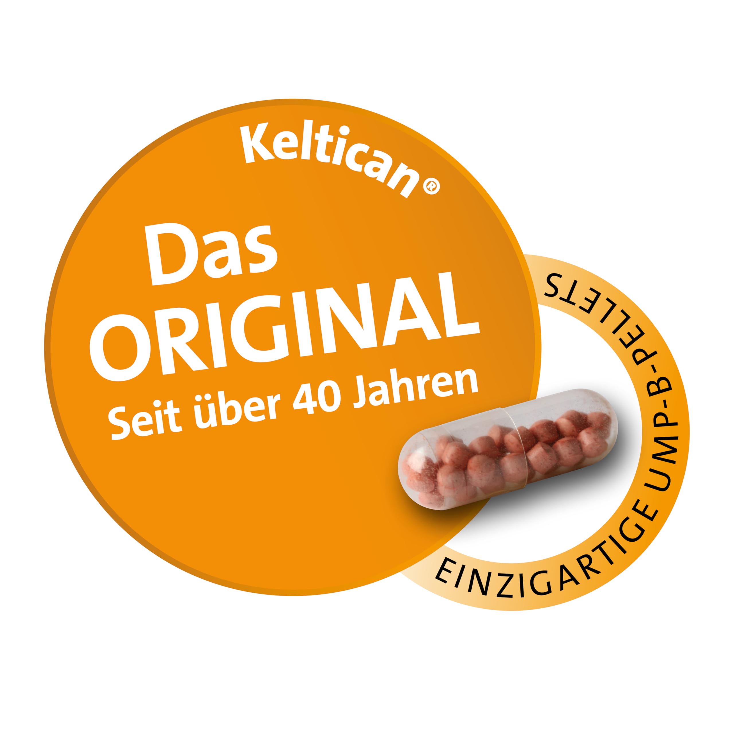 Keltican forte - Unterstützung der Nervenregeneration 80 Stück