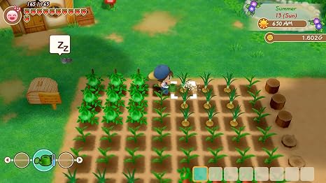 STORY OF SEASONS: Friends of Mineral Town - PlayStation 4