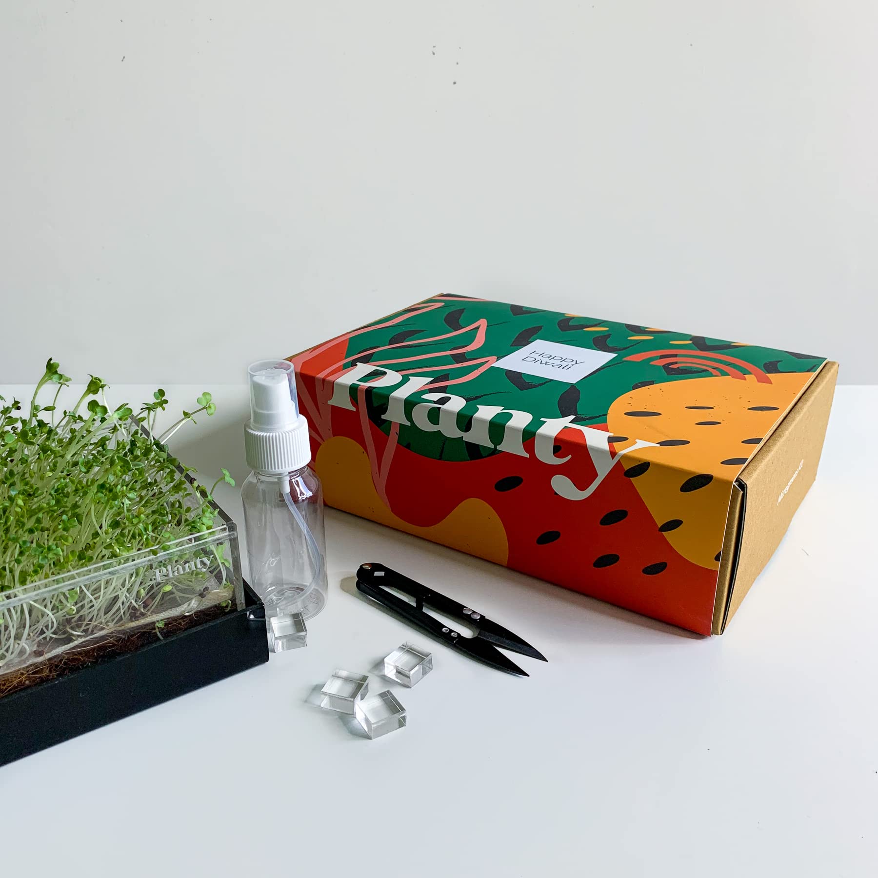 Think Planty Smart DIY Soil Less Microgreen Grow kit with Two 30 gm Seed Packs and Tools (Spinach & Arugula Microgreen seeds, XOXO)