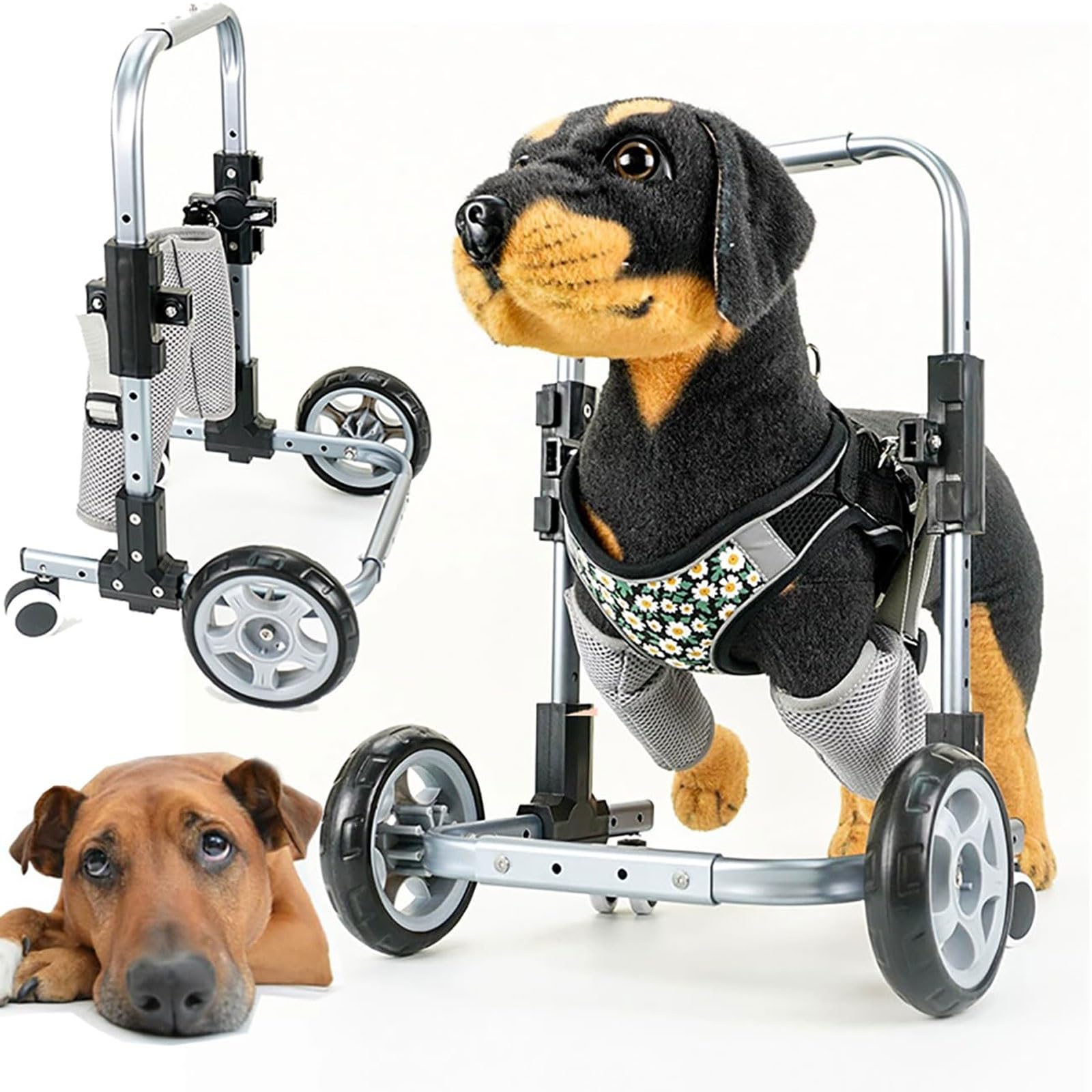 Fauteuil roulant pour chien réglable 4 roues aide rééducation pattes avant