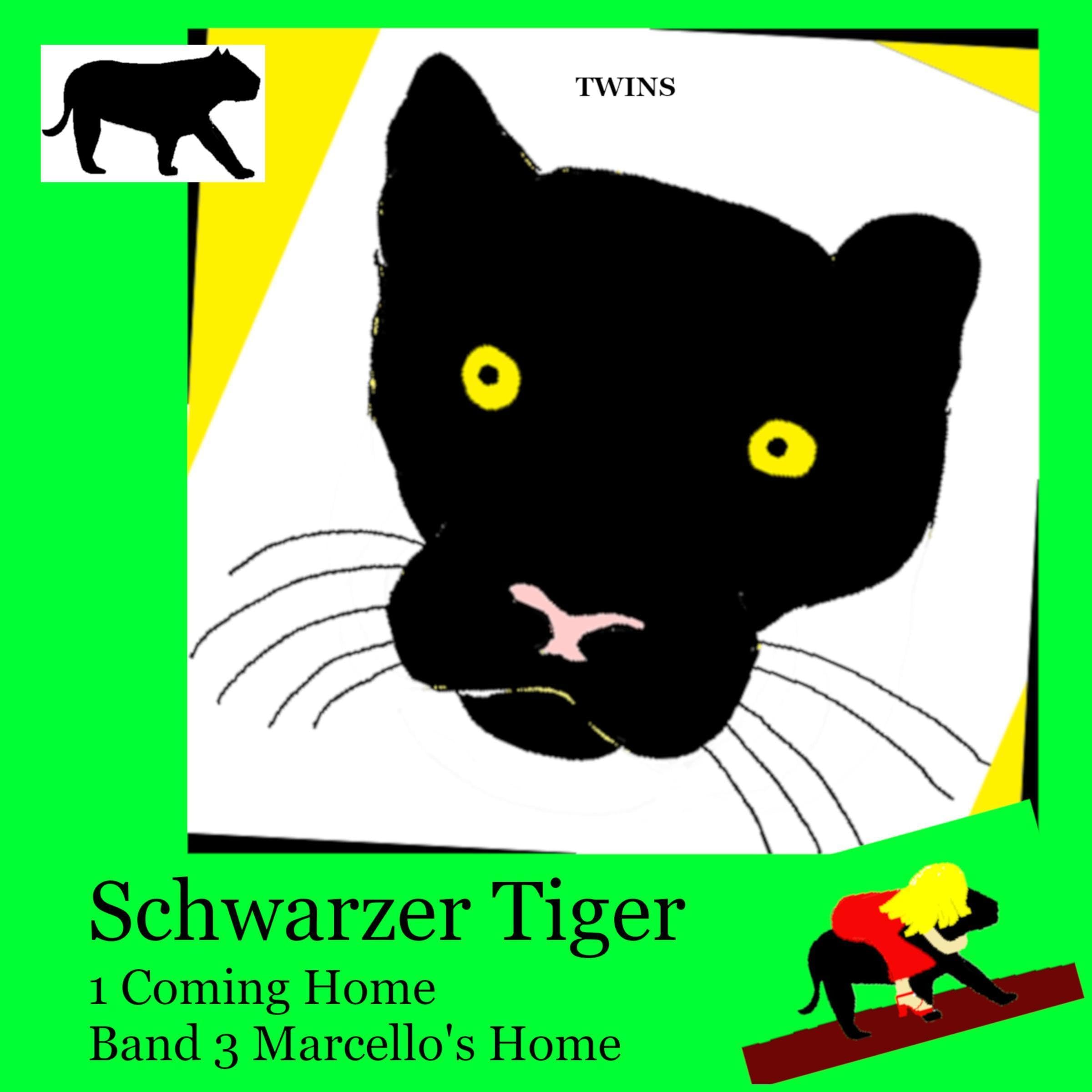 Cover art for Marcello's Home
