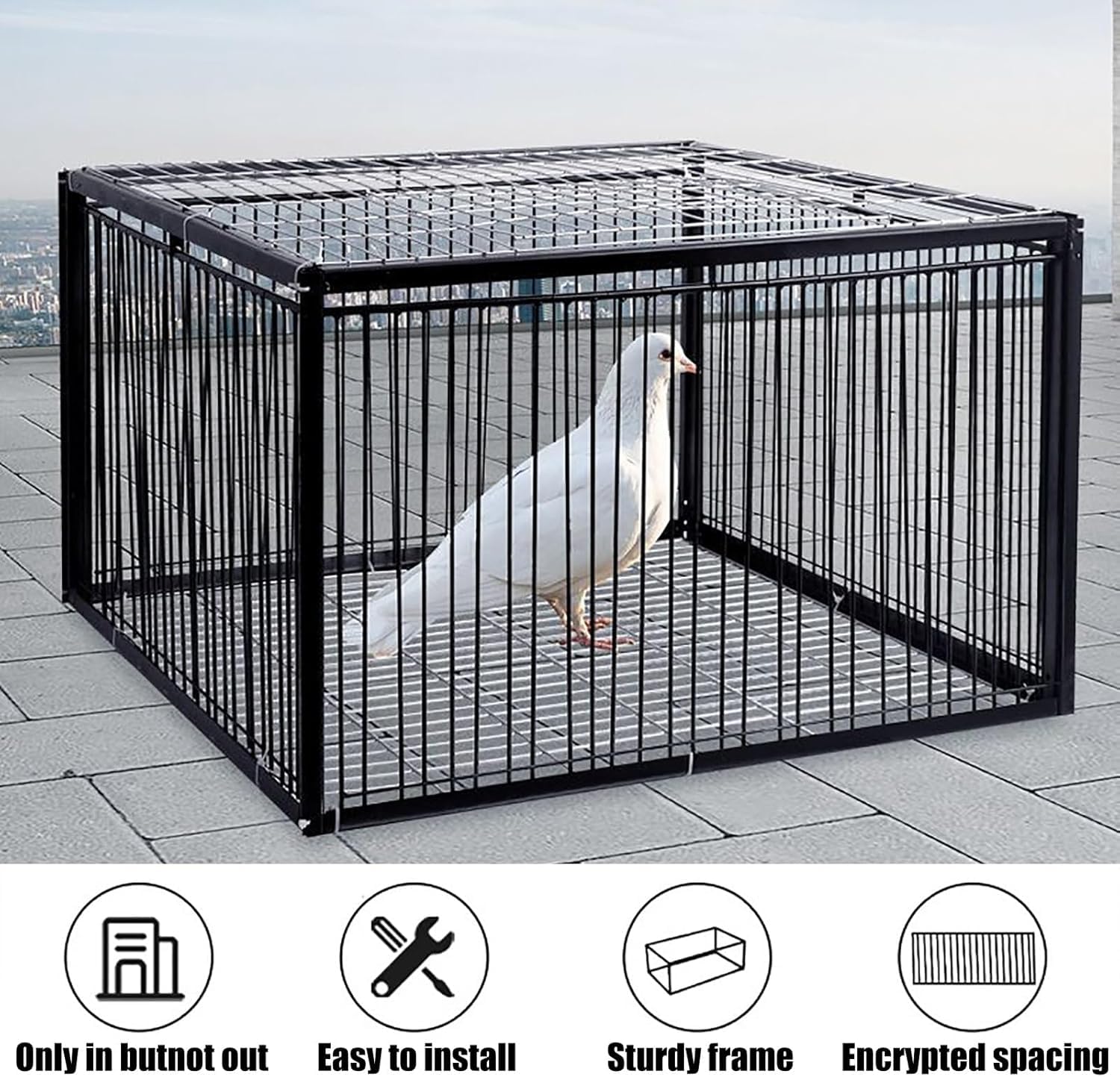 Trampa para Palomas con diseño a Prueba de Escape, jaulas humanas para trampas para Animales Vivos, Jaula para Palomas con Entrada unidireccional, Jaula Trampa para Pollos y pájaros, fácil m