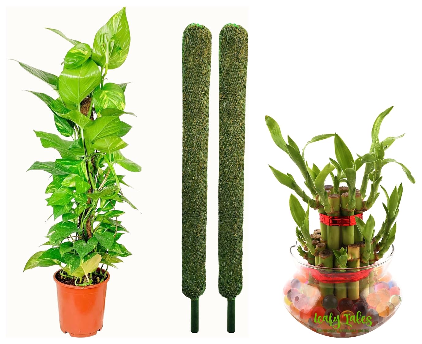 Leafy Tales Plant Support Moss Stick- Green Grass Pole (3 ft, Set