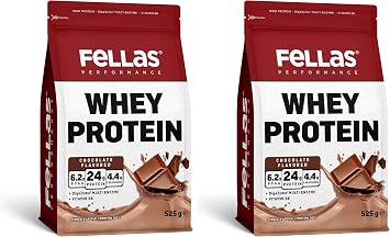فيلاس بيرفورمانس بروتين مصل اللبن بنكهة الشوكولاتة 525 جرام عبوة 2 بوصة