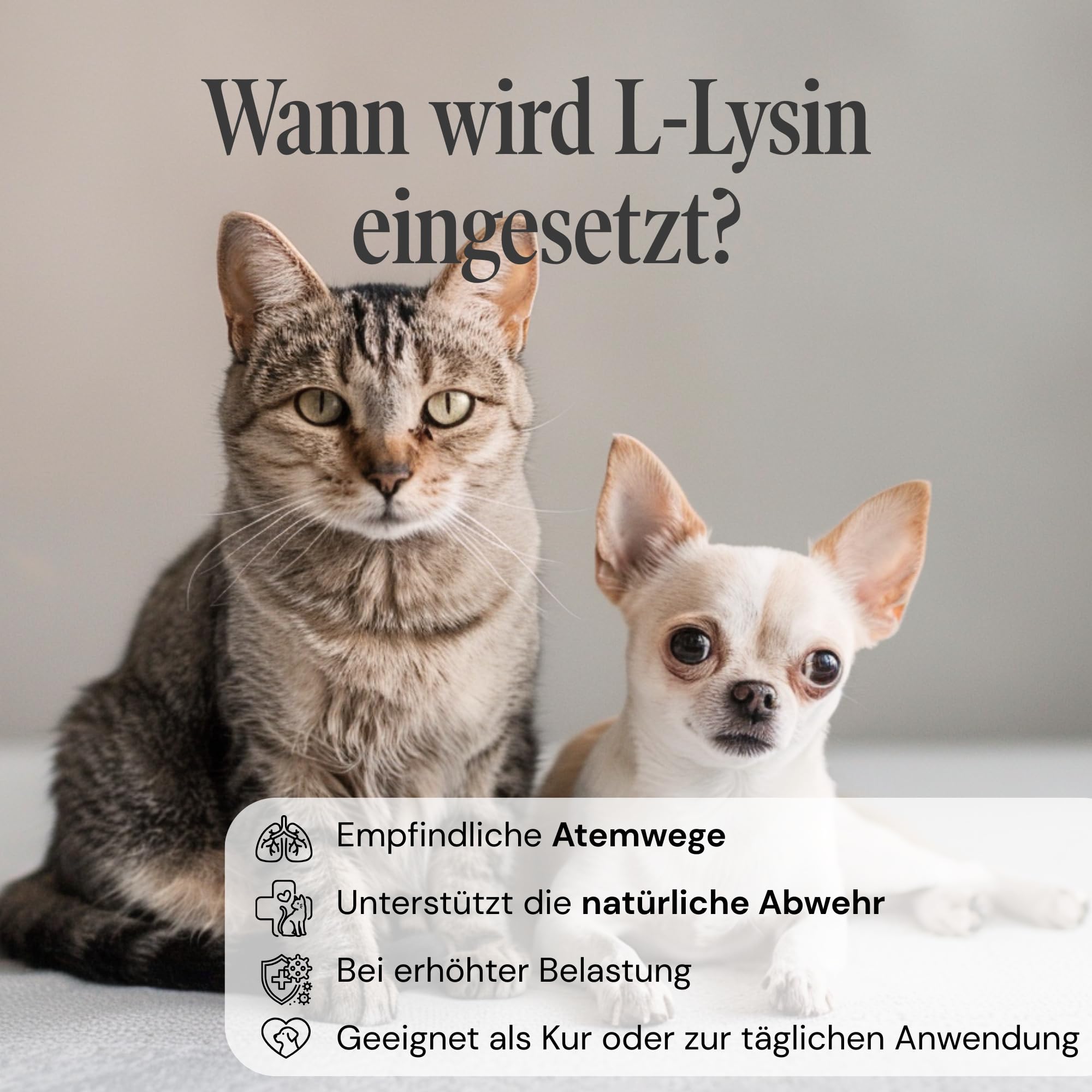 L-lisina per cani e gatti – Capsule di L-lisina ad alto dosaggio 670 mg per sostenere il sistema immunitario – Alimenti complementari amminoacidi – 100 capsule