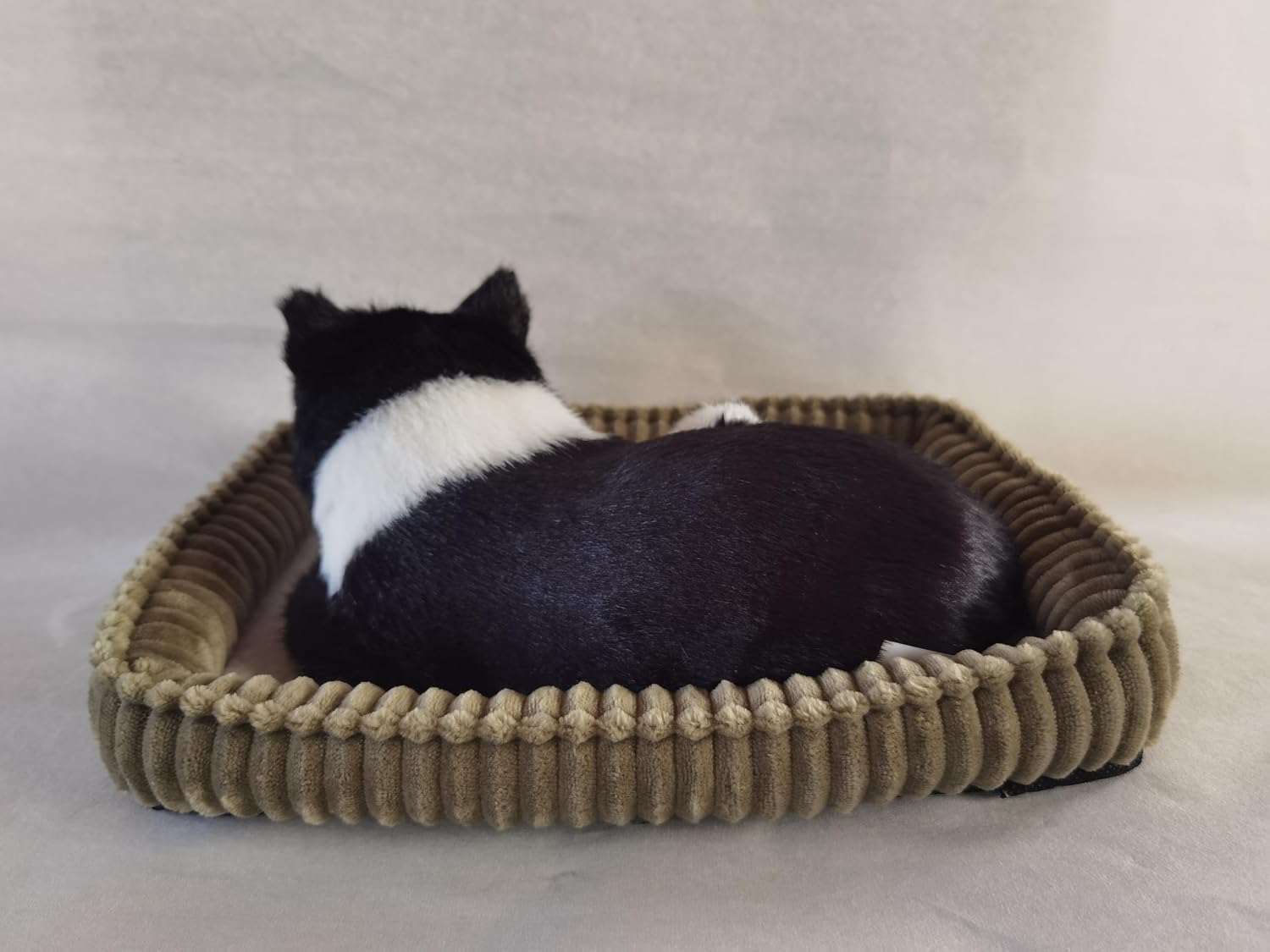 Black and White Shorthair Cat, Realistic, Lifelike Stuffed Interactive Pet Toy, Companion Pet Cat with 100% Handcrafted Synthetic Fur